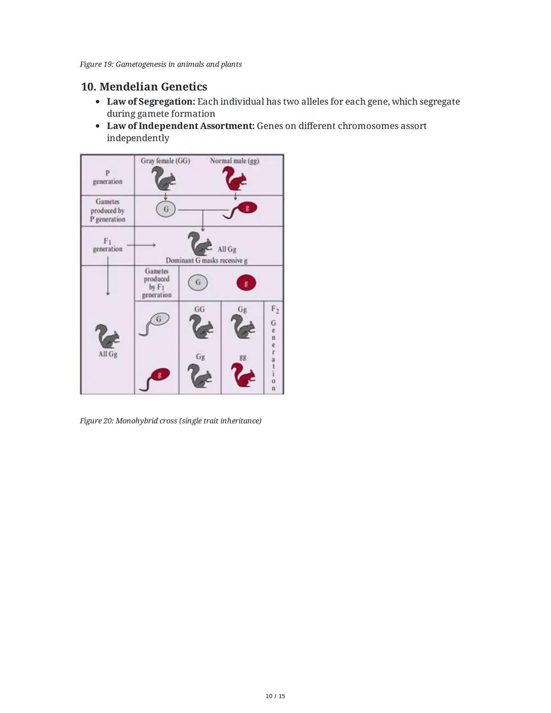 Biology: The Basic Principles
1. Introduction to Biology and the Scientific Method
Biology is the study of life, characterized by metabolism
