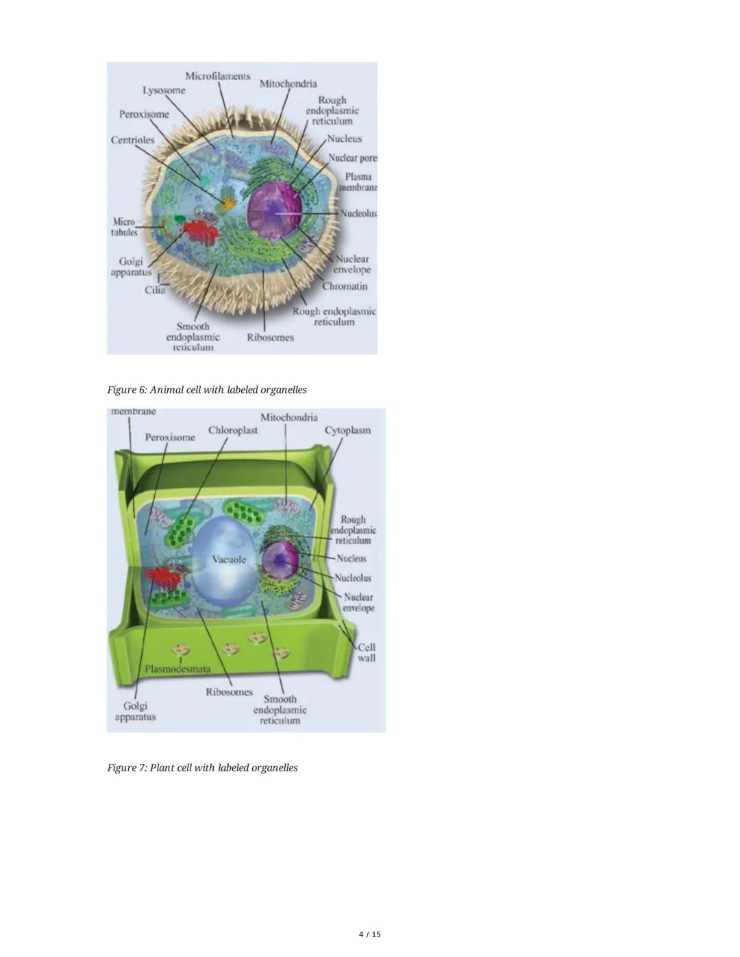 Biology: The Basic Principles
1. Introduction to Biology and the Scientific Method
Biology is the study of life, characterized by metabolism