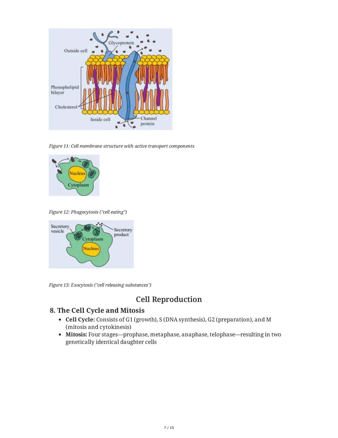 Biology: The Basic Principles
1. Introduction to Biology and the Scientific Method
Biology is the study of life, characterized by metabolism