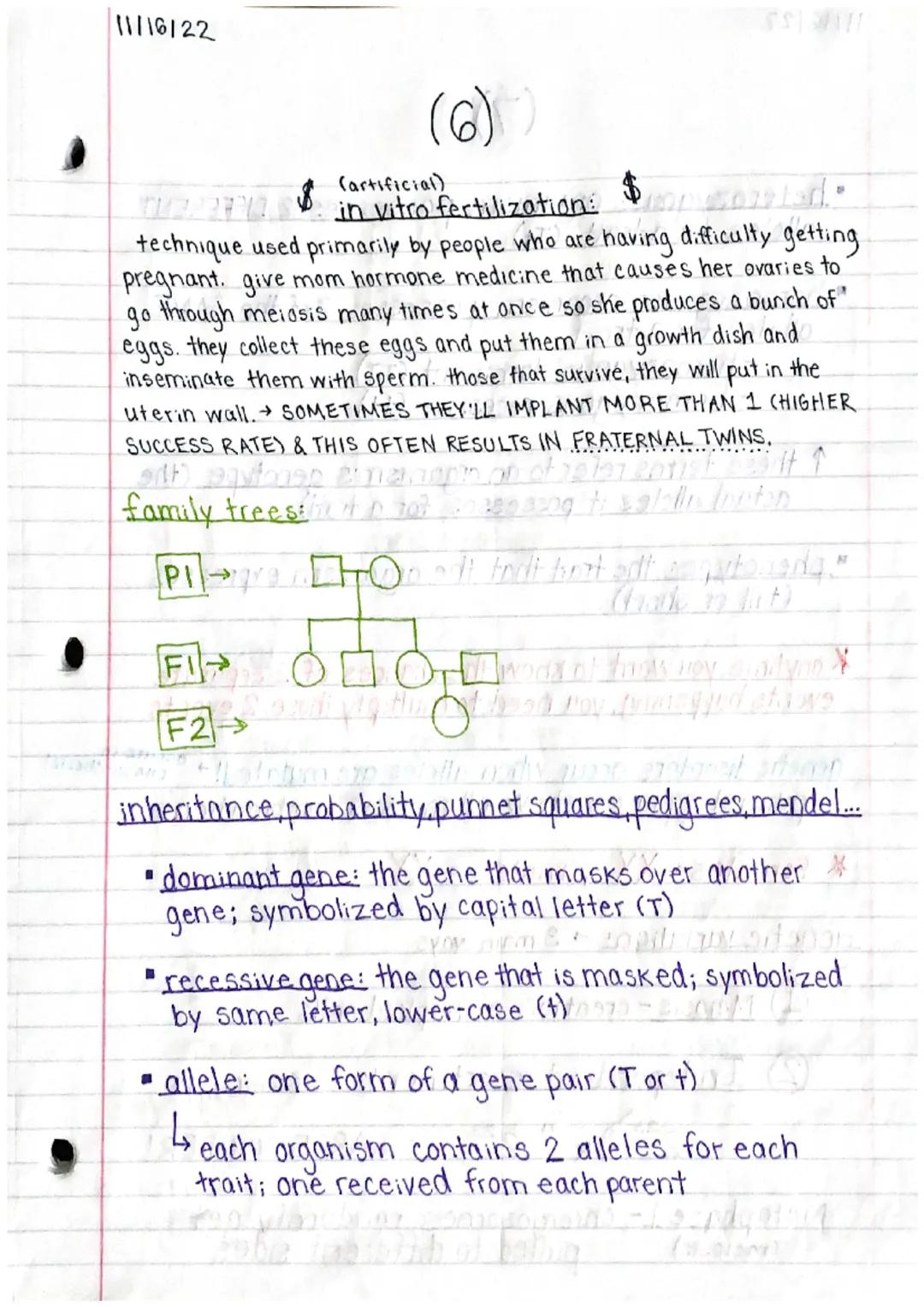 11/15/22

Genetics 1 Study Guide (1)

MITOSIS & MEIOSIS

names of each step: PMAT, PMATI, PMAT II
prophase, metaphase, an aphase, telephase
