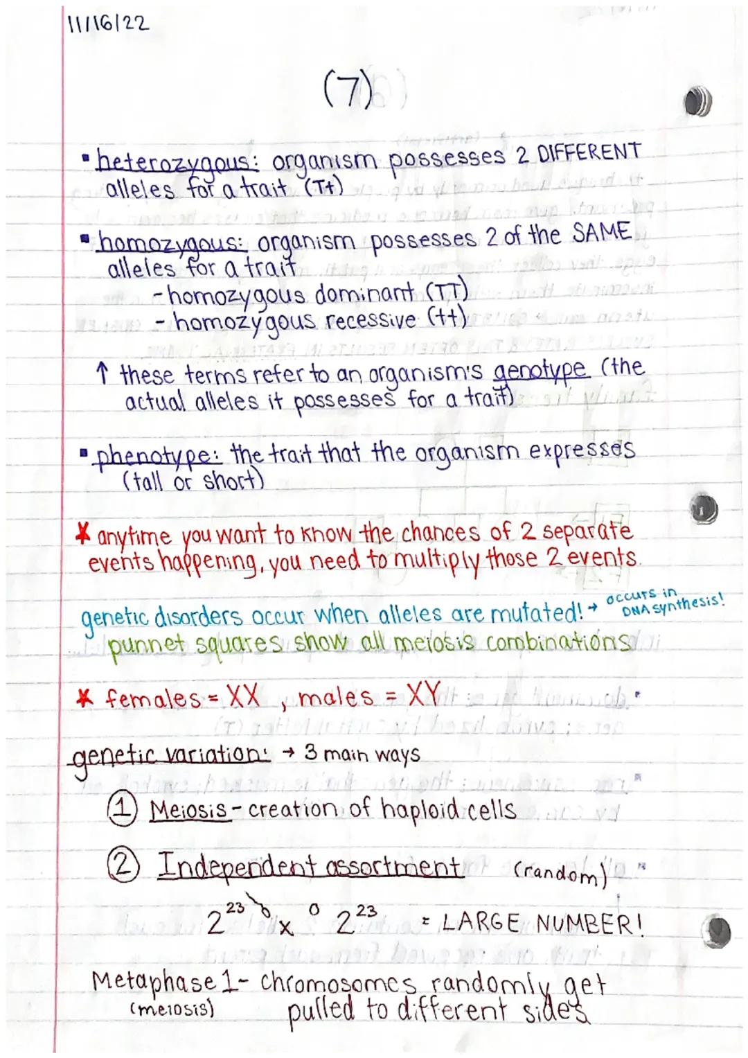 11/15/22

Genetics 1 Study Guide (1)

MITOSIS & MEIOSIS

names of each step: PMAT, PMATI, PMAT II
prophase, metaphase, an aphase, telephase
