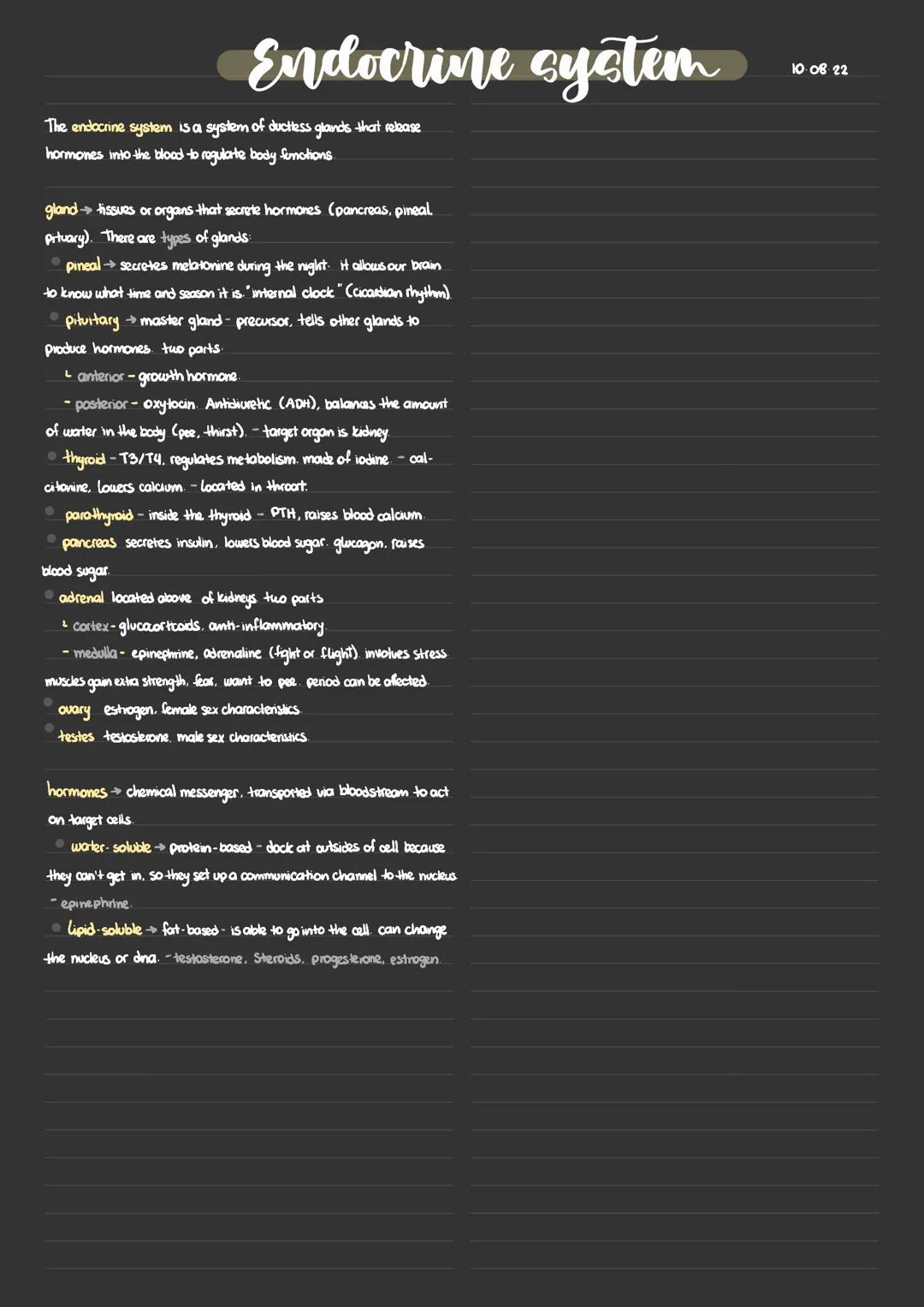 # Endocrine system

The endocrine system is a system of ductless glands that release
hormones into the blood to regularte body fomotions

gl