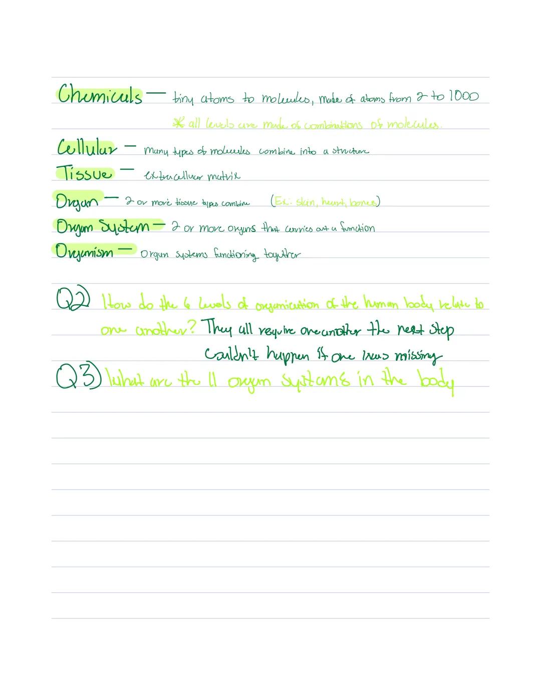 # Anatomy & Physiolby

Cell-Smallest unit that carried out lif

Me tubdism - tiND types "Building Processes"

$
\longrightarrow$ Anabolism: 