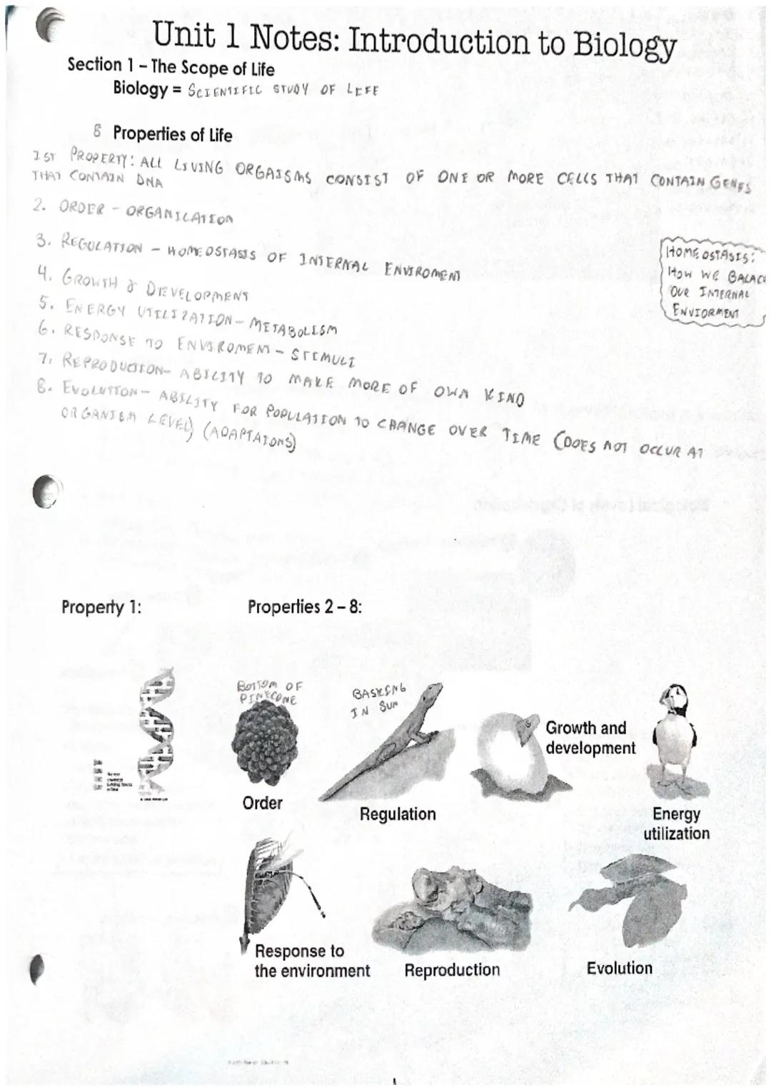 # Unit 1 Notes: Introduction to Biology
Section 1 - The Scope of Life
Biology SCIENTIFIC STUDY OF LEFE

8 Properties of Life
IST PROPERTY: A