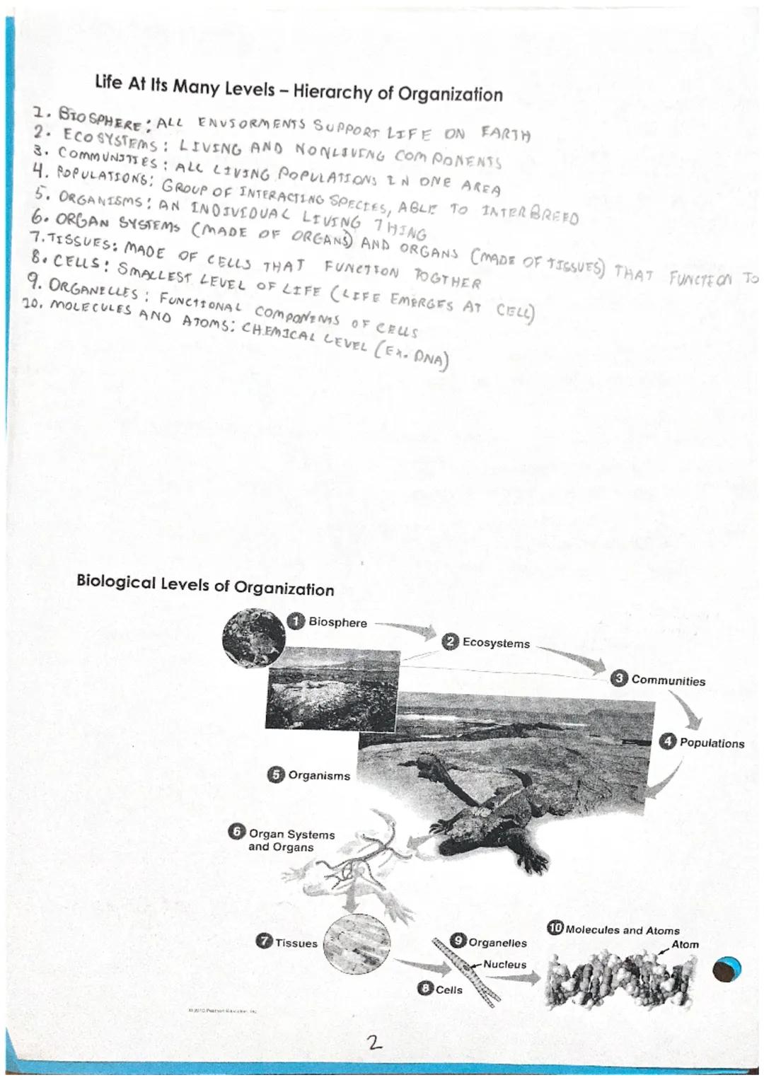 # Unit 1 Notes: Introduction to Biology
Section 1 - The Scope of Life
Biology SCIENTIFIC STUDY OF LEFE

8 Properties of Life
IST PROPERTY: A