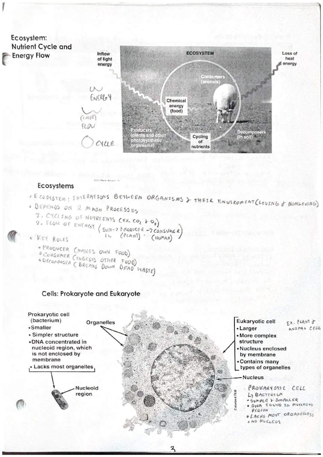 # Unit 1 Notes: Introduction to Biology
Section 1 - The Scope of Life
Biology SCIENTIFIC STUDY OF LEFE

8 Properties of Life
IST PROPERTY: A