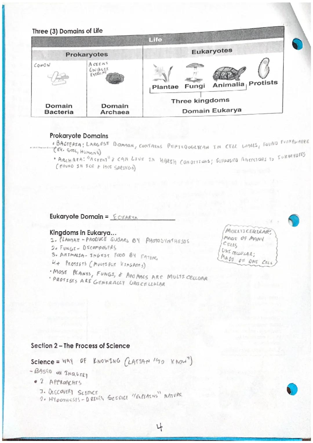 # Unit 1 Notes: Introduction to Biology
Section 1 - The Scope of Life
Biology SCIENTIFIC STUDY OF LEFE

8 Properties of Life
IST PROPERTY: A
