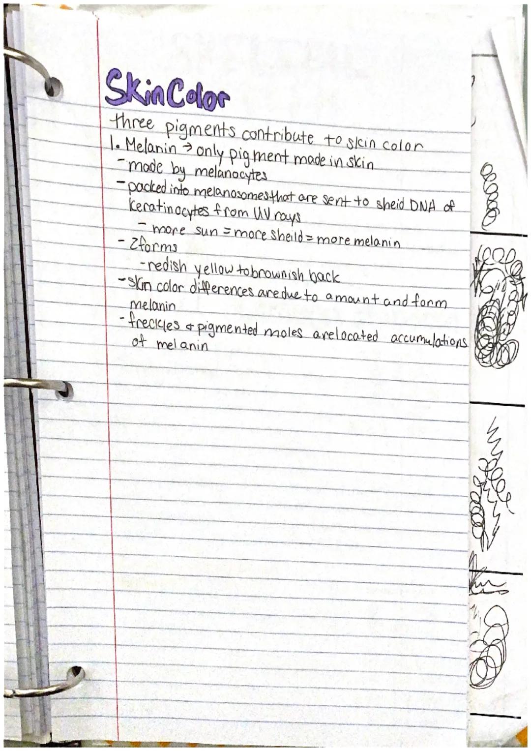 # incegumentarY
system

the intergumentary system consists of skin and itil
derivatives Chair, nails, glands)
What is an organ?
an organ is 