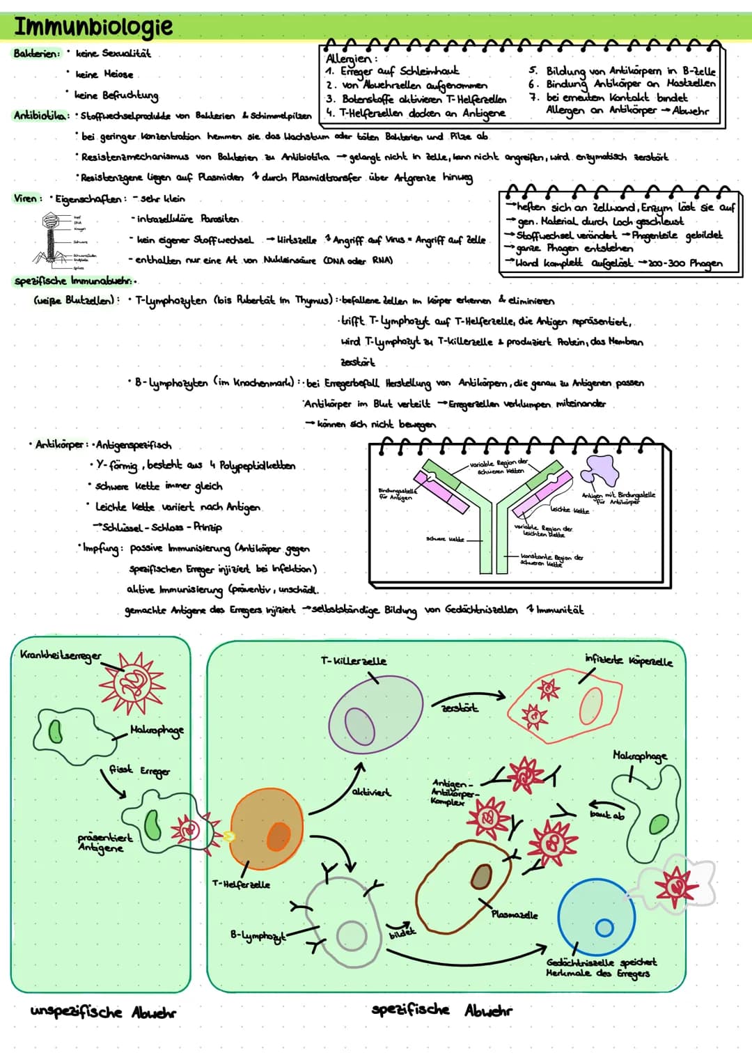 # LERNZETTEL BIOLOGIE

Zytologie

Eukaryoten

-Zellwanal

-Zellmembran

Cytosol-

Mitochondrium.

Chloroplasten

Golgi-Apparat

glades ER

r