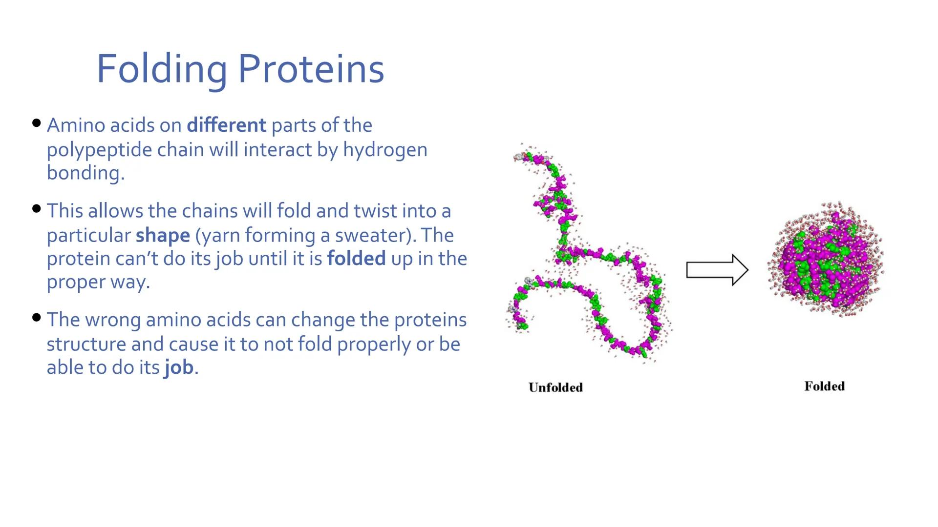 # Proteins

Unit 1.7-1.10 What are proteins?

• Large class of very diverse compounds.
• Have a range of functions:
• form hair and fur,
• m