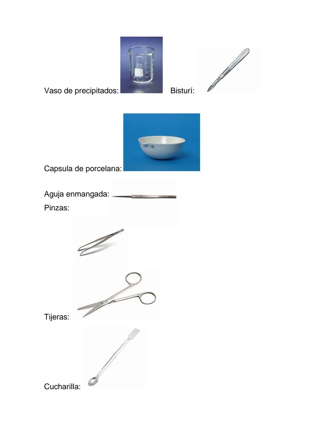 CIENCIAS 4º ESO PRÁCTICA 1:
MATERIAL DE LABORATORIO

1. Identifica el siguiente material básico de laboratorio:

Matraz:

Pipeta:

Placa Pet