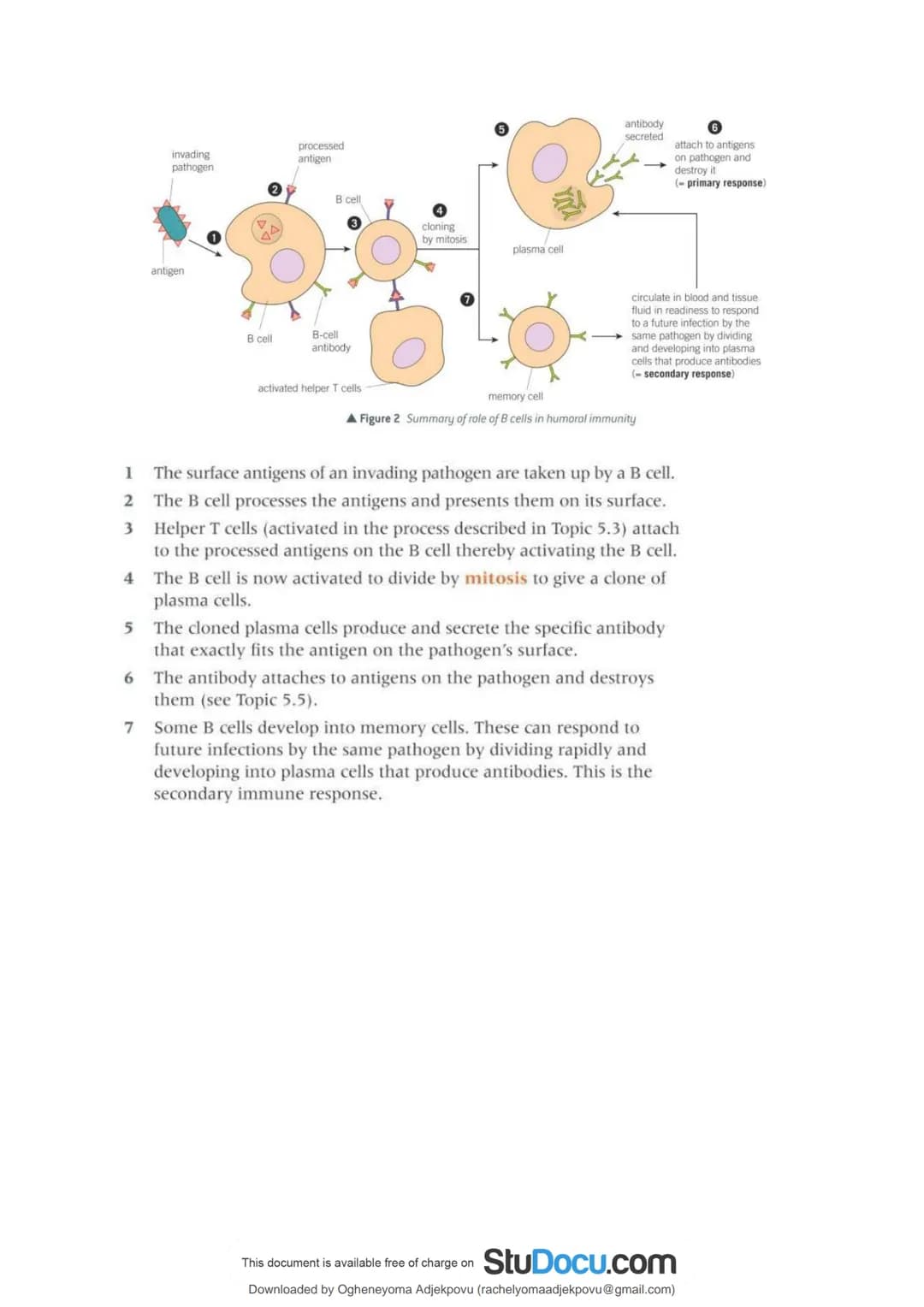 # StuDocu.com

Immunity Section 2.5 notes AS Biology

Biology A1 (Sixth Form (UK))

StuDocu is not sponsored or endorsed by any college or u