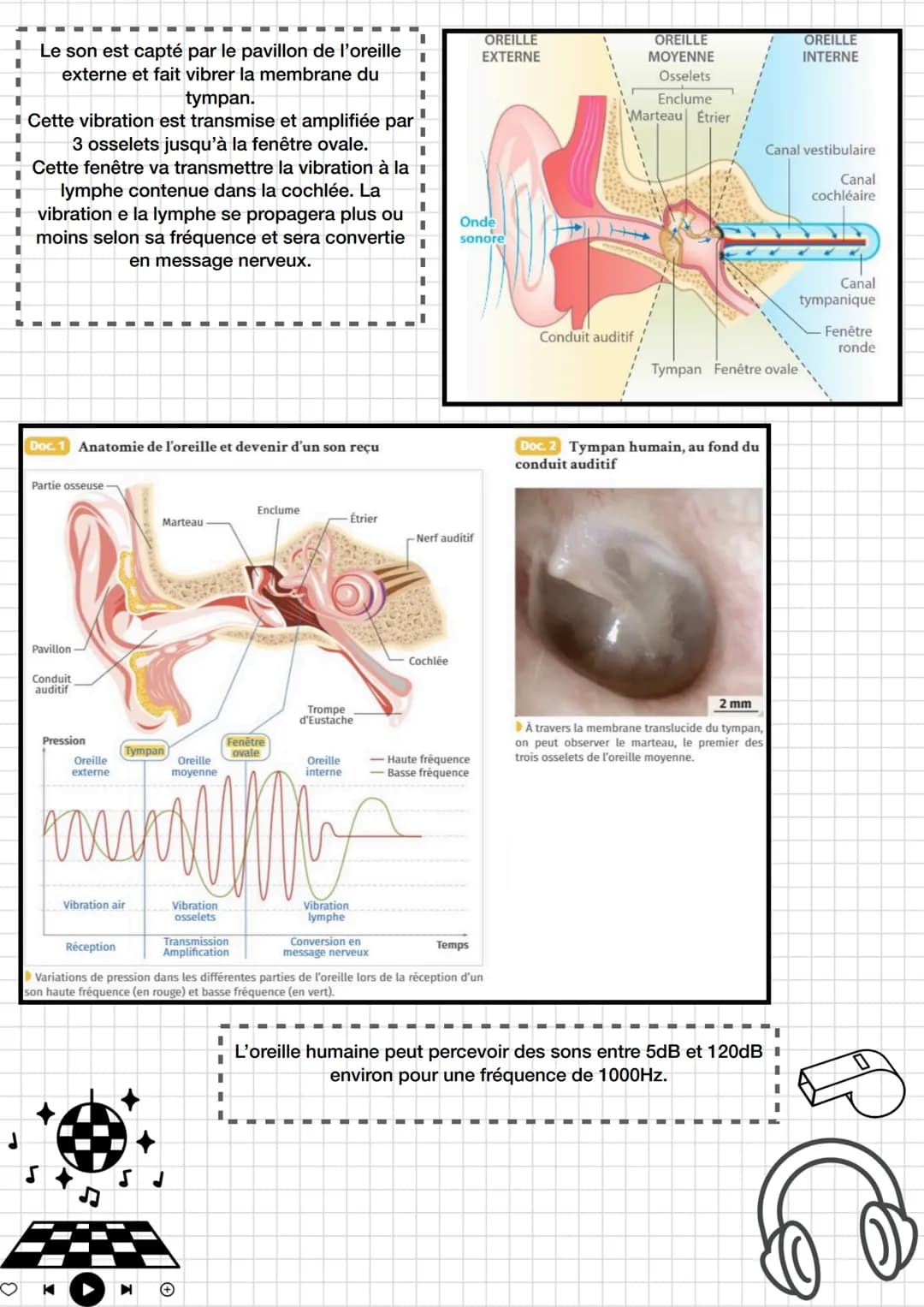 # Enseignement
## scientifique

Thème 4 : Son et musique porteurs
d'informations

Chapitre 1 : entendre la musique

*   Pré-requis :
    Émi