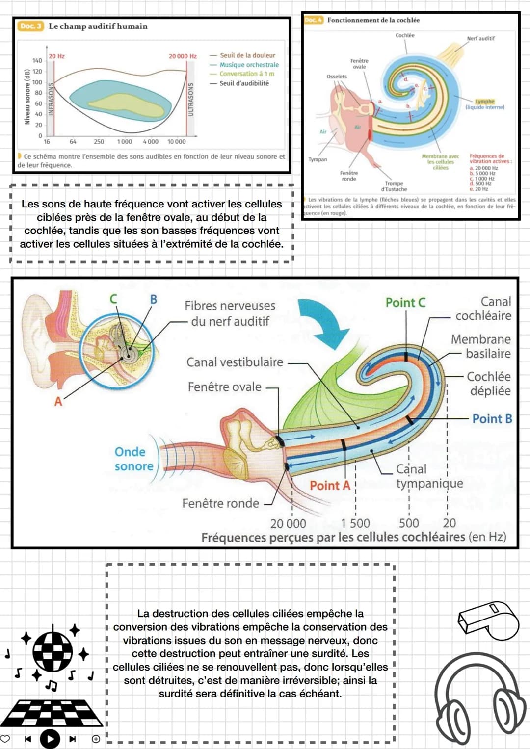 # Enseignement
## scientifique

Thème 4 : Son et musique porteurs
d'informations

Chapitre 1 : entendre la musique

*   Pré-requis :
    Émi