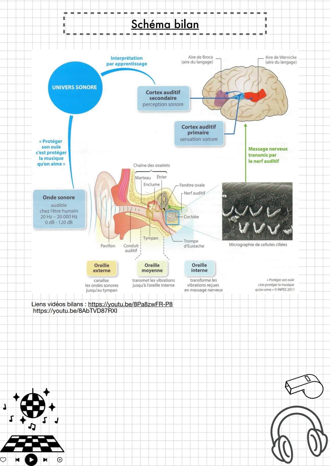 # Enseignement
## scientifique

Thème 4 : Son et musique porteurs
d'informations

Chapitre 1 : entendre la musique

*   Pré-requis :
    Émi