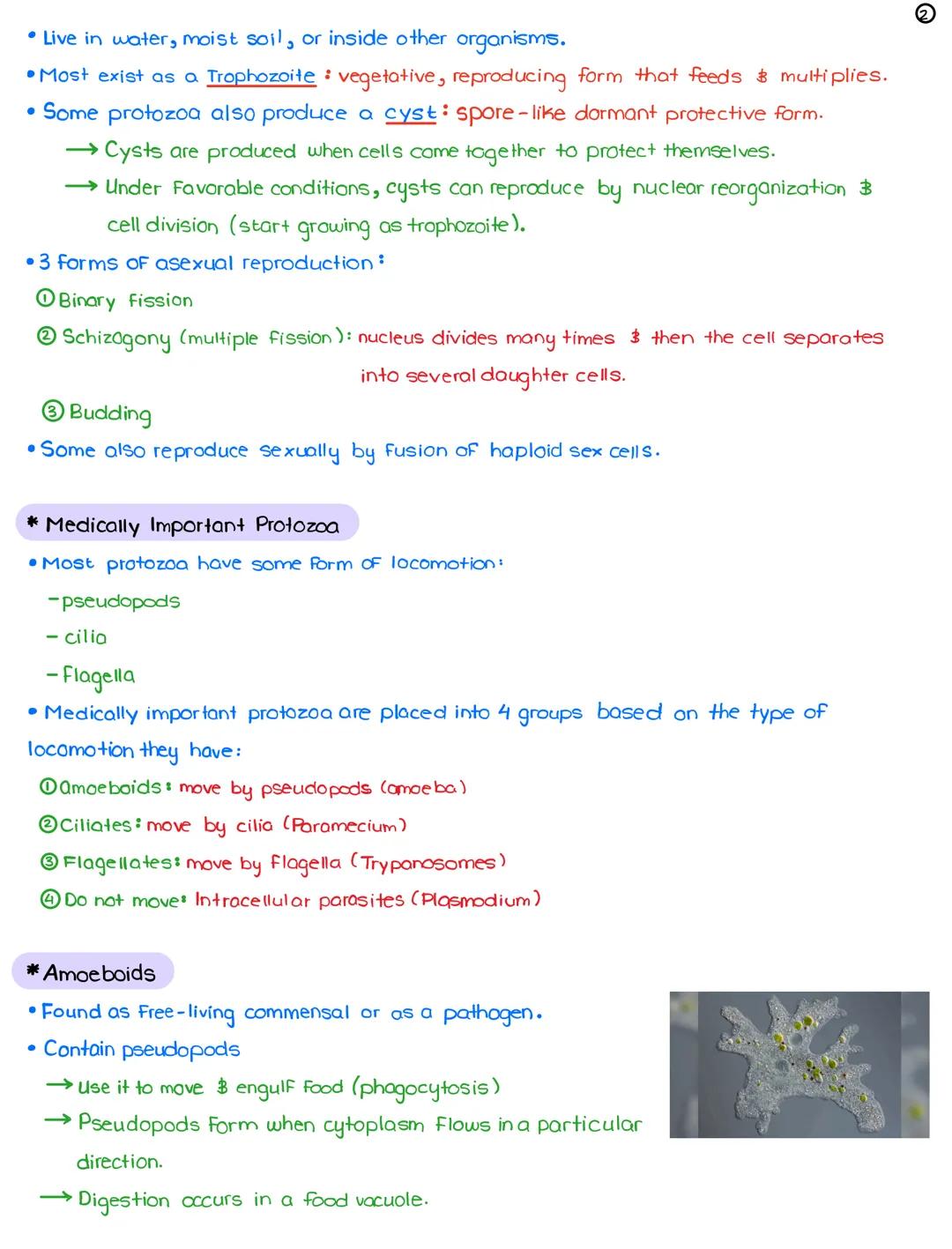 L24-Parasites
April 4, 2022
* Parasitology: study of relationship between a parasite & its host
*3 Types of Parasites (in terms of location)