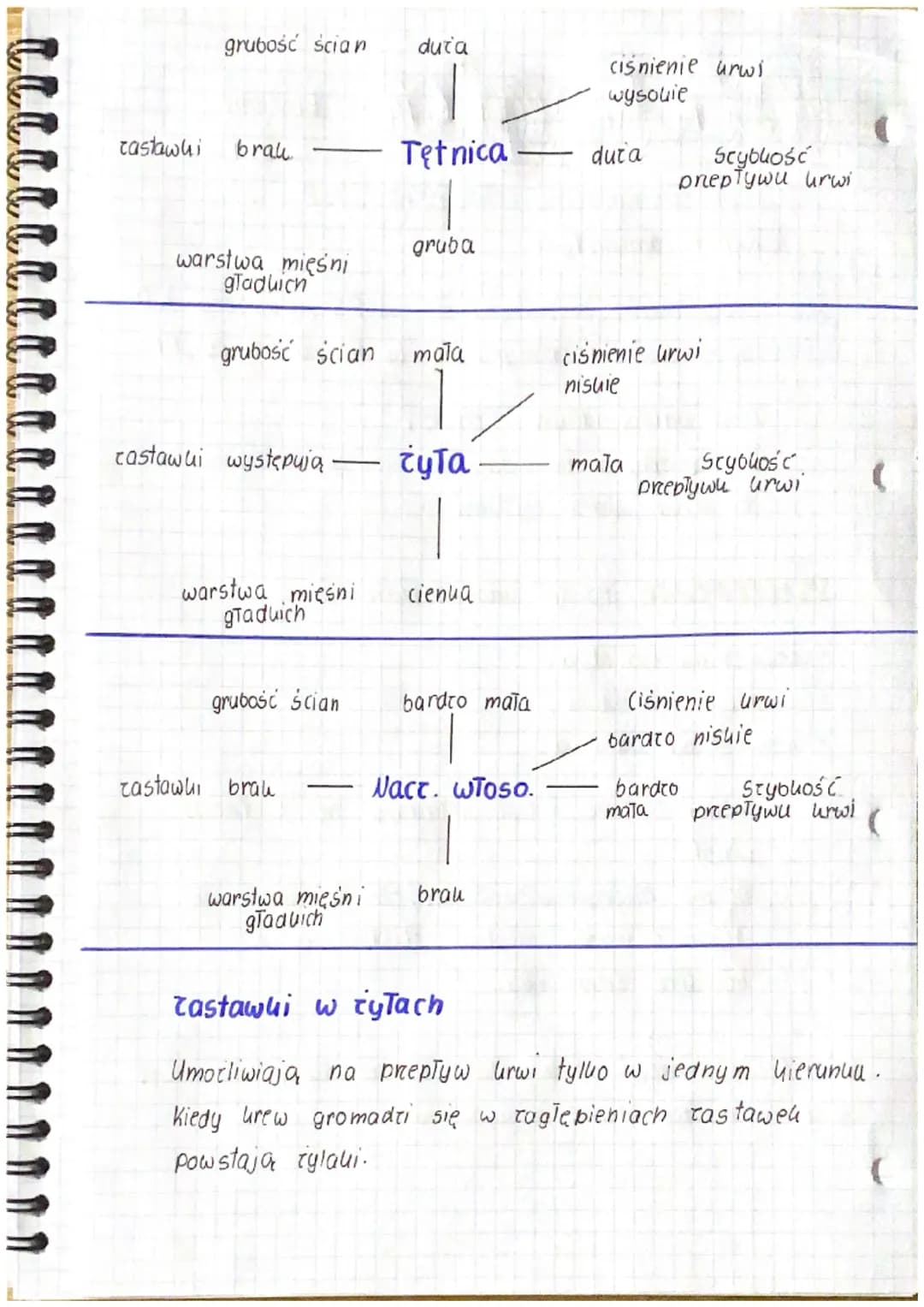 Π.Π.
# biologia

krążenie
urwi

UuTaa Urwionośny człowieka jest
uuładem tamuniętym.

krwiobieg mały rozpoczyna się w PK, a kończy LP.
krwiob