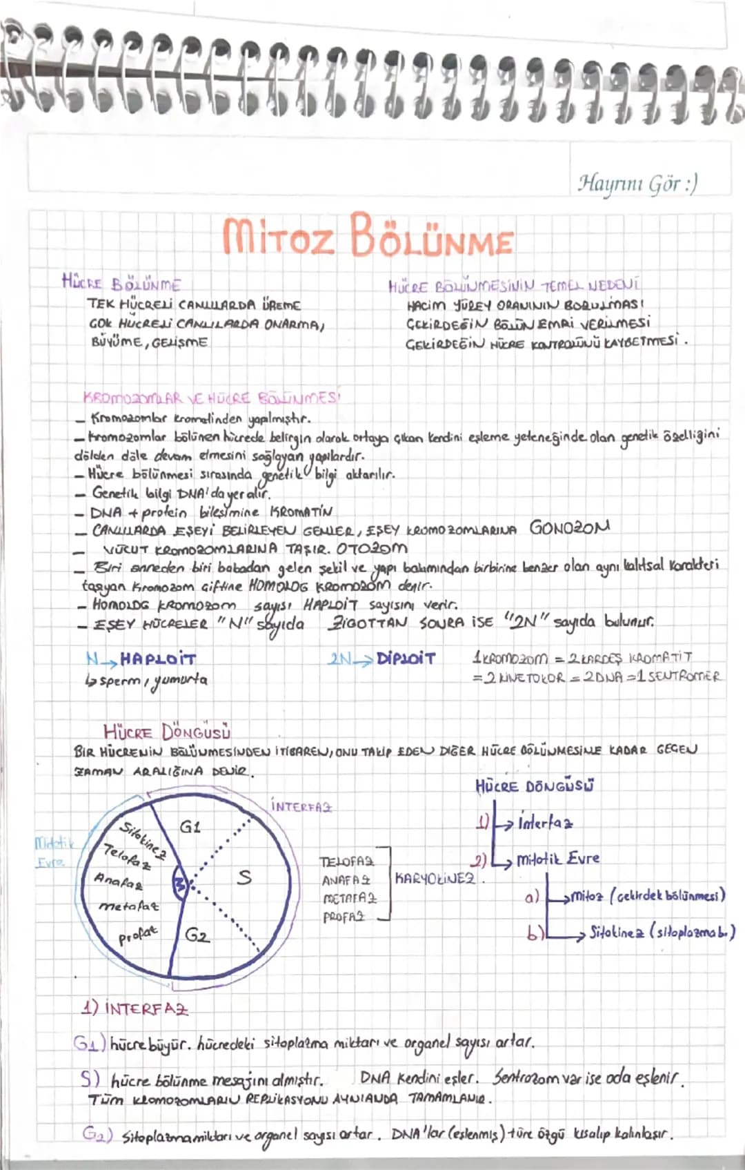 Hayrını Gör :)

# MITOZ BÖLÜNME
HÜCRE BÖLÜNME

TEK HÜCRELİ CANLILARDA ÜREME
GOK HUCREZI CANLILARDA ONARIMA,
BÜYÜME, GELİŞME

HÜCRE BOWINMESI