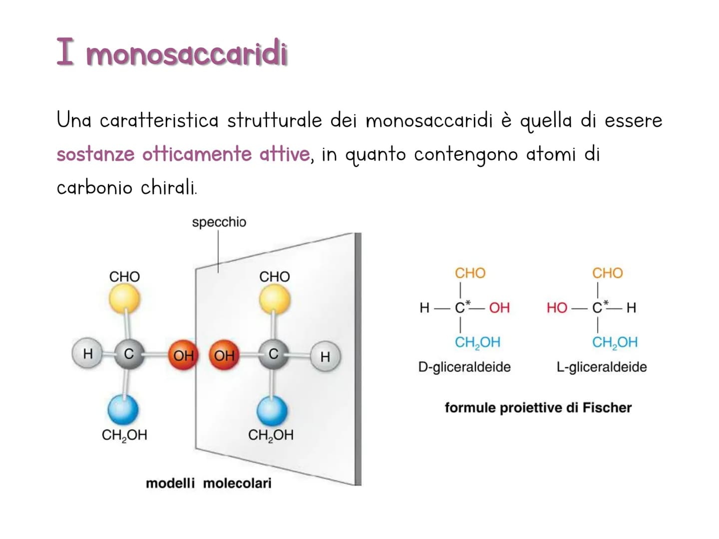 # Le biomolecole

Carbohydrate

Lipid

Protein

Nucleic Acid

@amoebasisters Una biomolecola è un composto chimico che riveste un
ruolo impo