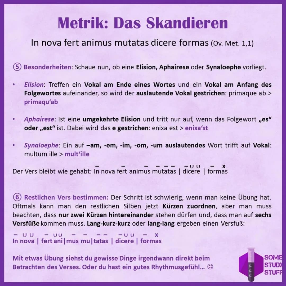 # Metrik: Der Hexameter

/ / / / / / / / / / / / / / / / / / / / / / / / / / / / / / / / / / / / / / / / / / / / / / / / / / / / / / / / / /