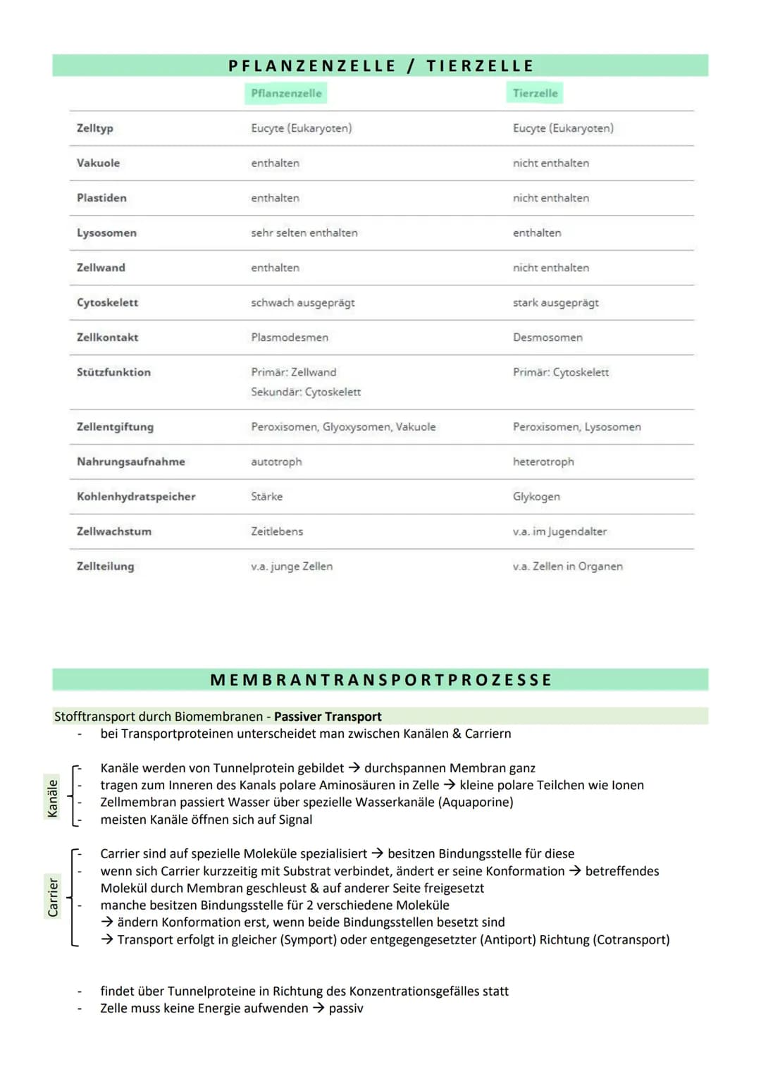 # STOFFWECHSEL / ZYTOLOGIE

PROKARYOTEN / EUKARYOTEN

| Eucyte / Eukaryoten                                  | Procyte / Prokaryoten        