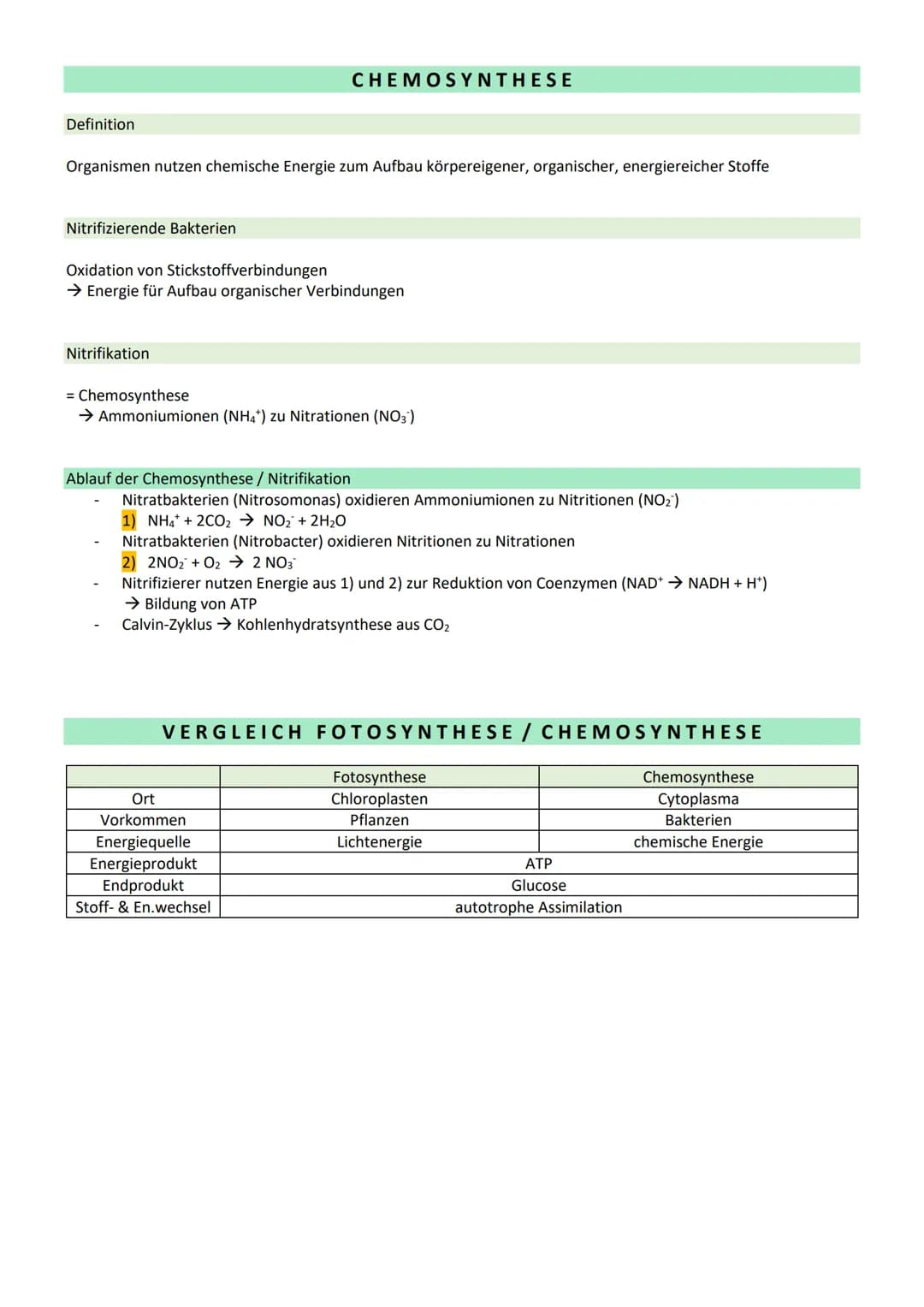 # STOFFWECHSEL / ZYTOLOGIE

PROKARYOTEN / EUKARYOTEN

| Eucyte / Eukaryoten                                  | Procyte / Prokaryoten        
