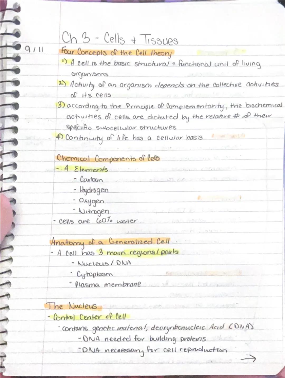9/11

Ch 3-Cells + Tissues
Four Concepts of the Cell theory
1) A cell is the basic structural functional unit of living.
organisms.
2) Activ