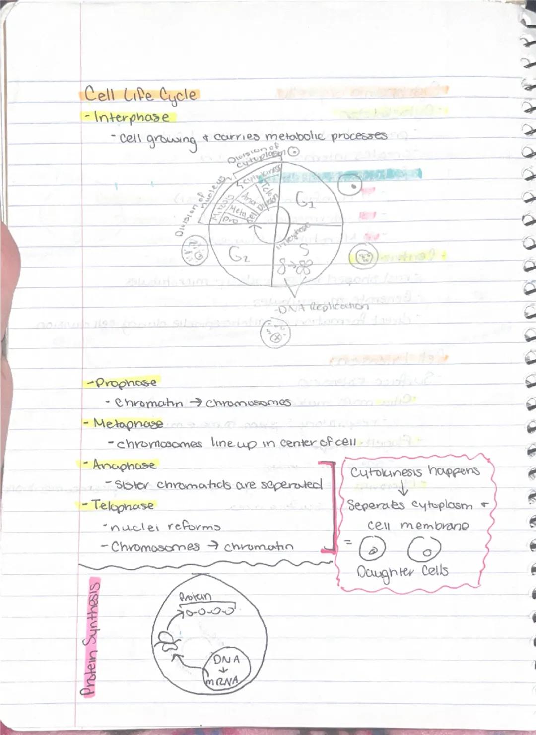 9/11

Ch 3-Cells + Tissues
Four Concepts of the Cell theory
1) A cell is the basic structural functional unit of living.
organisms.
2) Activ