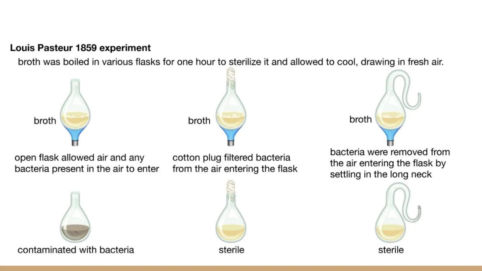 Origins of Life

Unit 2 Day 4 # Review Theories

| Origin of Life Theory | Definition - Fill in the blanks below using the reading | Scienti