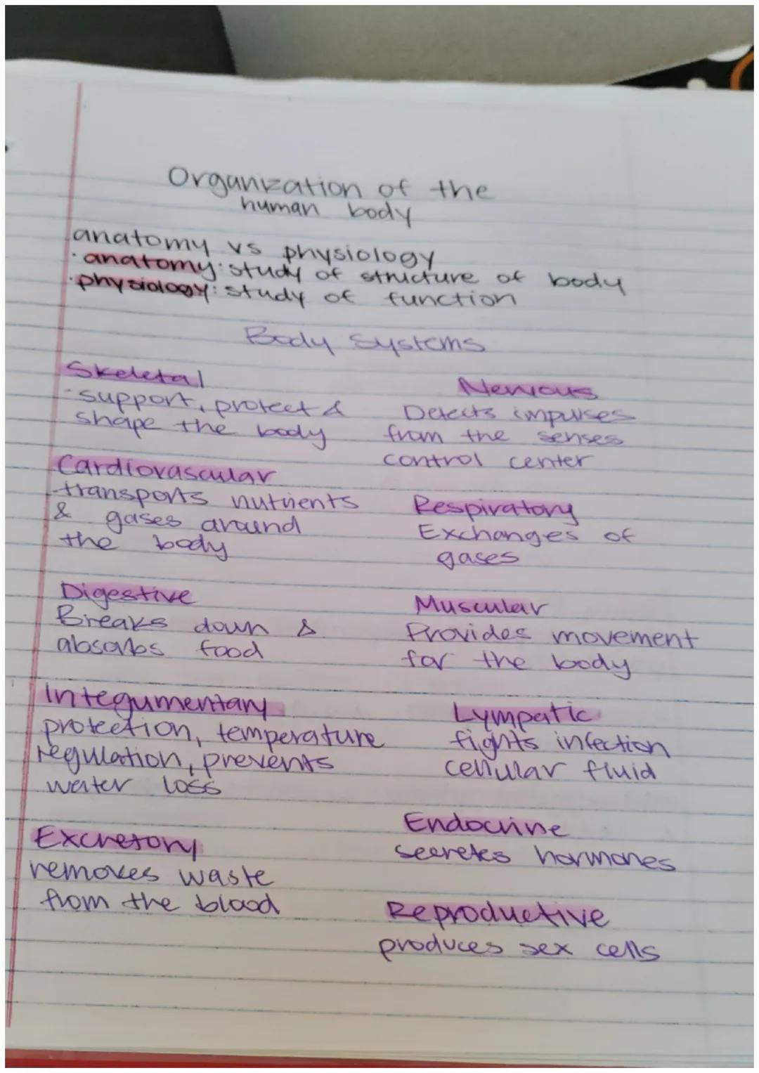 Organzation of the
human body

anatomy vs physiology
- anatomy study of stricture of body
·physiology: study of function

Body Systems

Skel