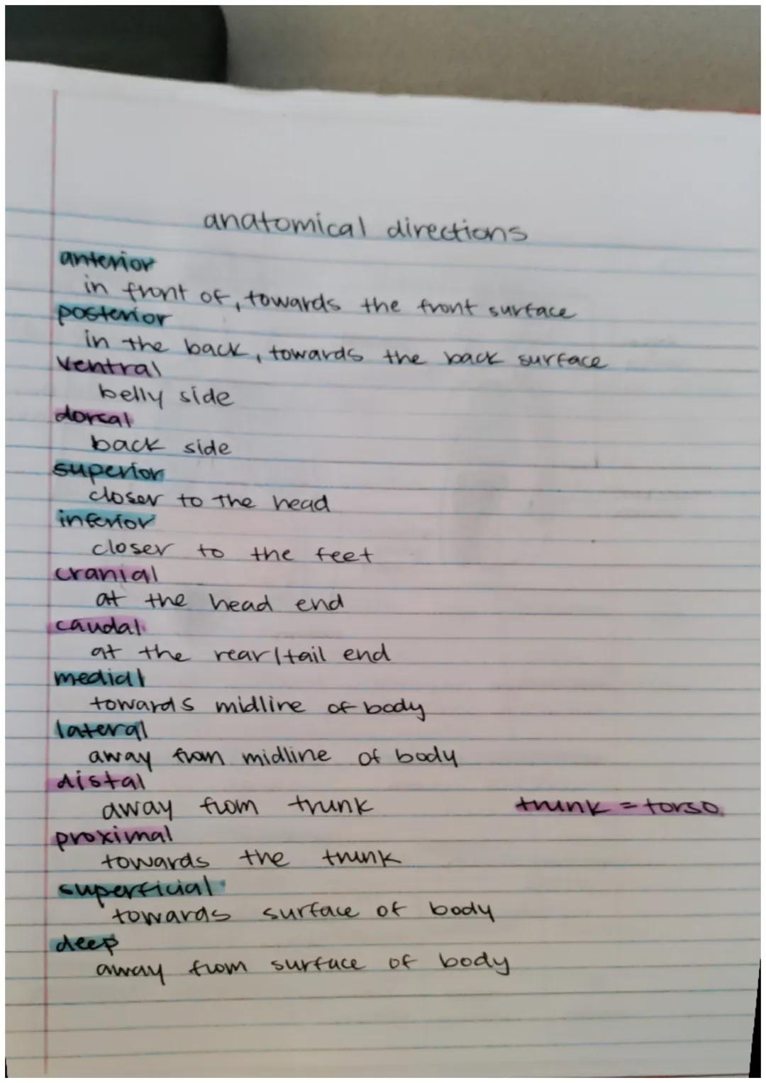Organzation of the
human body

anatomy vs physiology
- anatomy study of stricture of body
·physiology: study of function

Body Systems

Skel