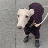 user profile picture