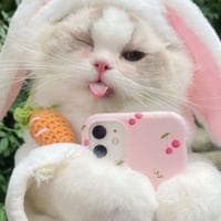 user profile picture