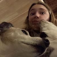 user profile picture