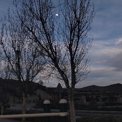 user profile picture