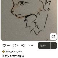 user profile picture