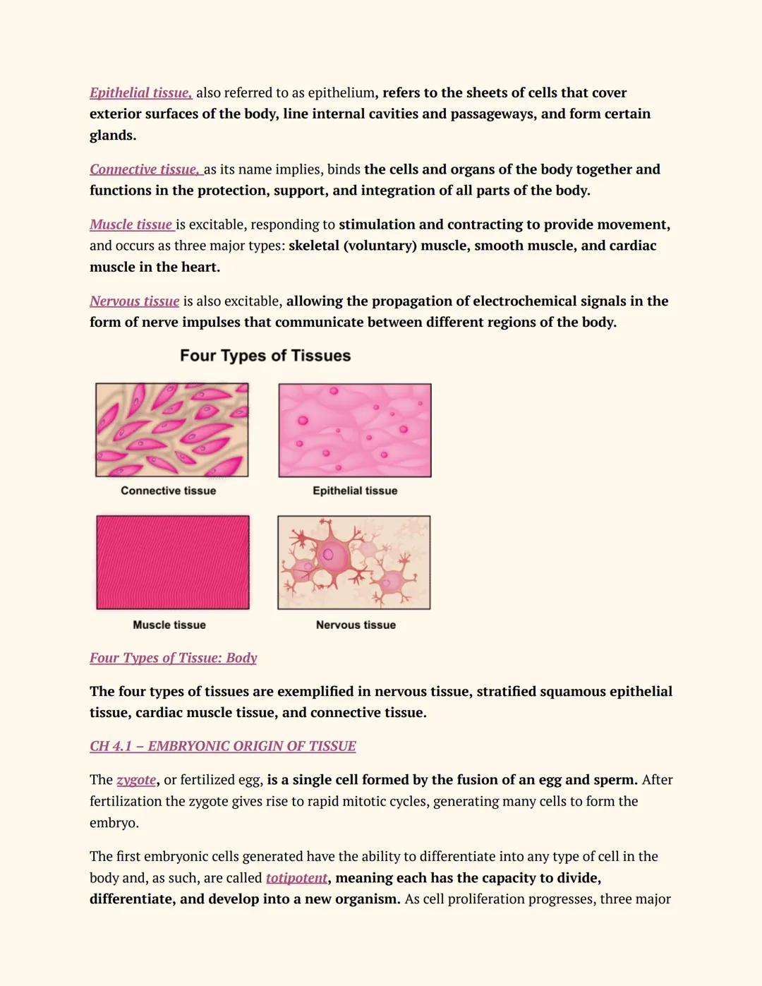 Anatomy & Physiology 01
Teacher
# CHAPTER 4-1
# ANATOMY &
# PHYSIOLOGY
Notes
Chpt 4: THE TISSUE LEVEL OF ORGANIZATION
Chpt 4.1 LEARNING