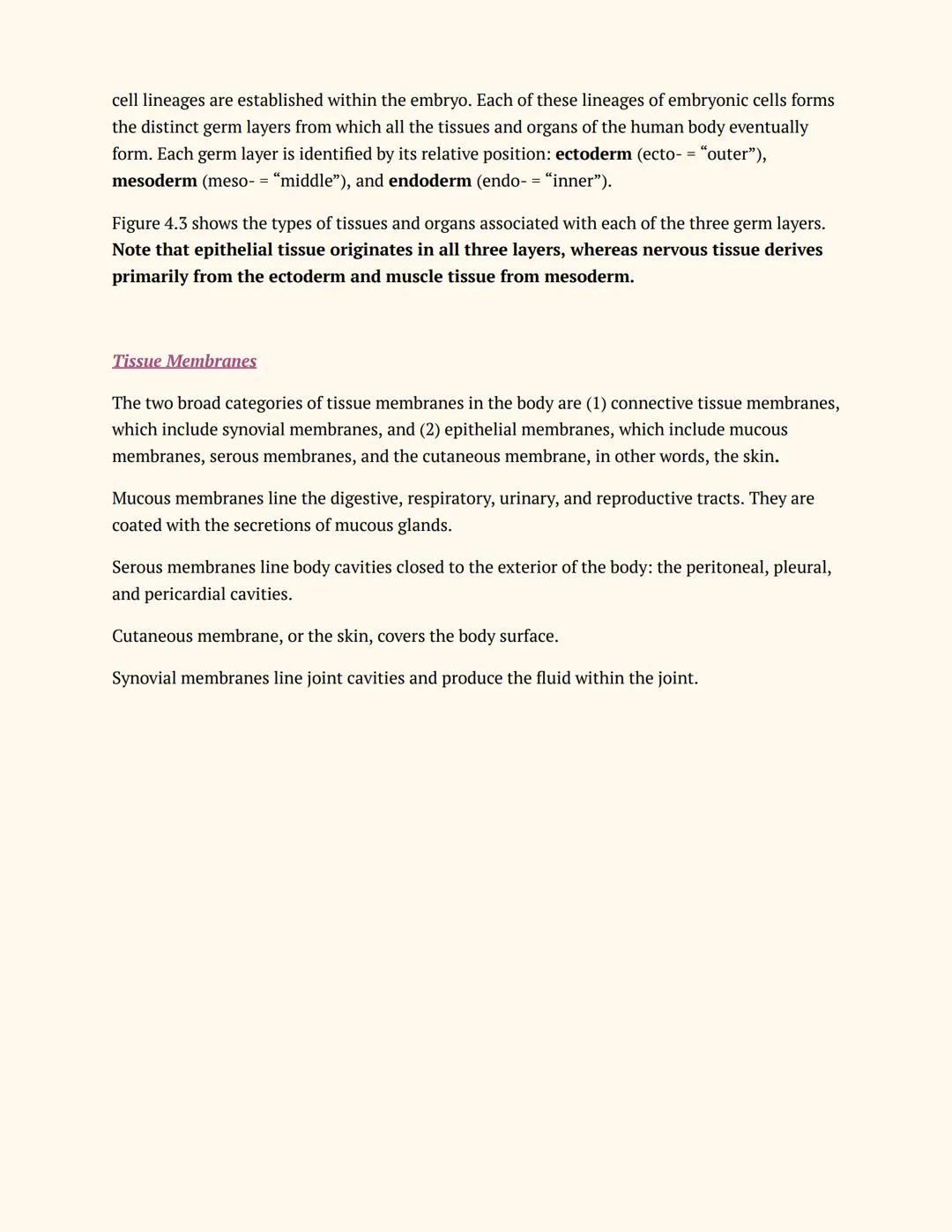 Anatomy & Physiology 01
Teacher
# CHAPTER 4-1
# ANATOMY &
# PHYSIOLOGY
Notes
Chpt 4: THE TISSUE LEVEL OF ORGANIZATION
Chpt 4.1 LEARNING