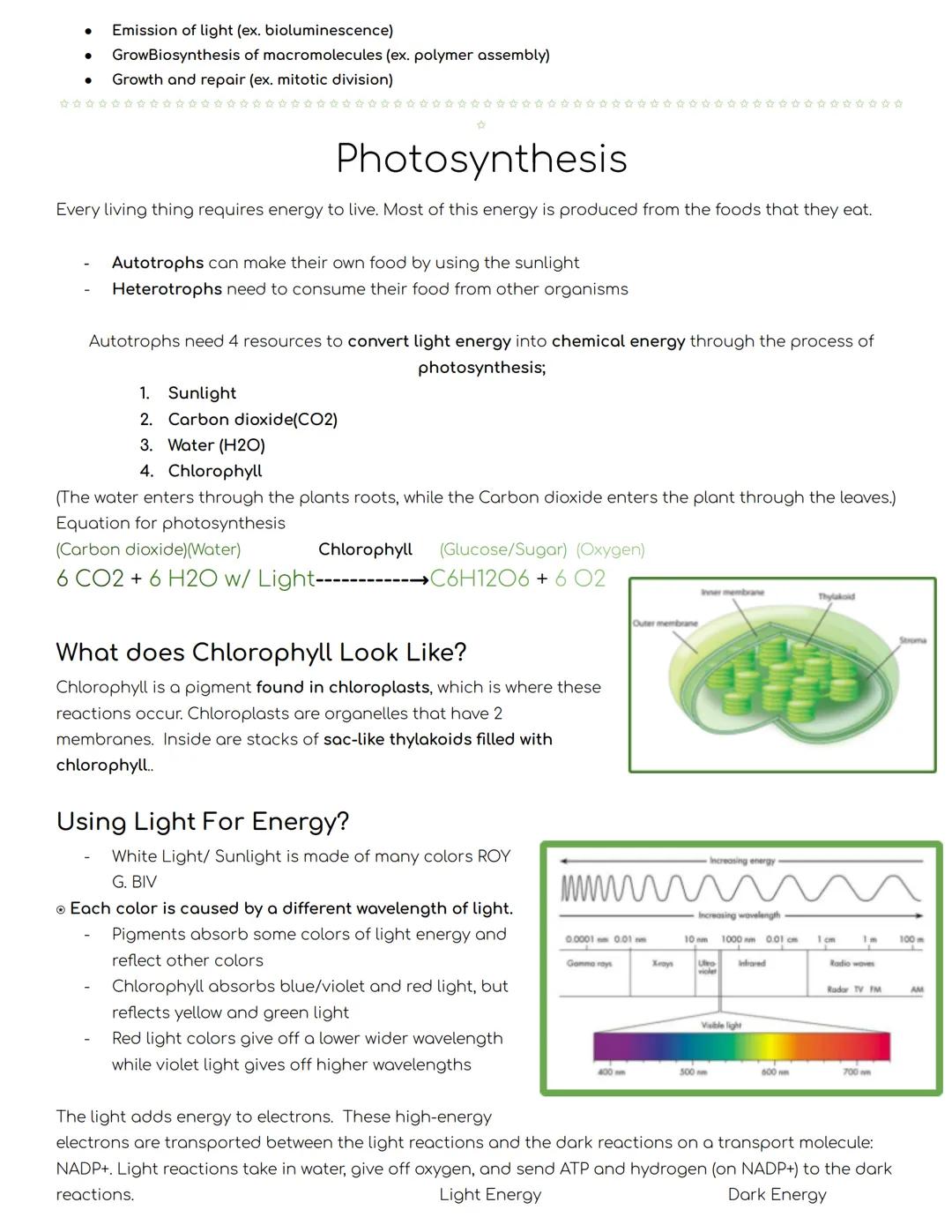 # Biology Honors
# Cell Energy Notes
November 30
ATP
## Chemical Energy
What is energy?
Energy is the ability to do work. Cells need en