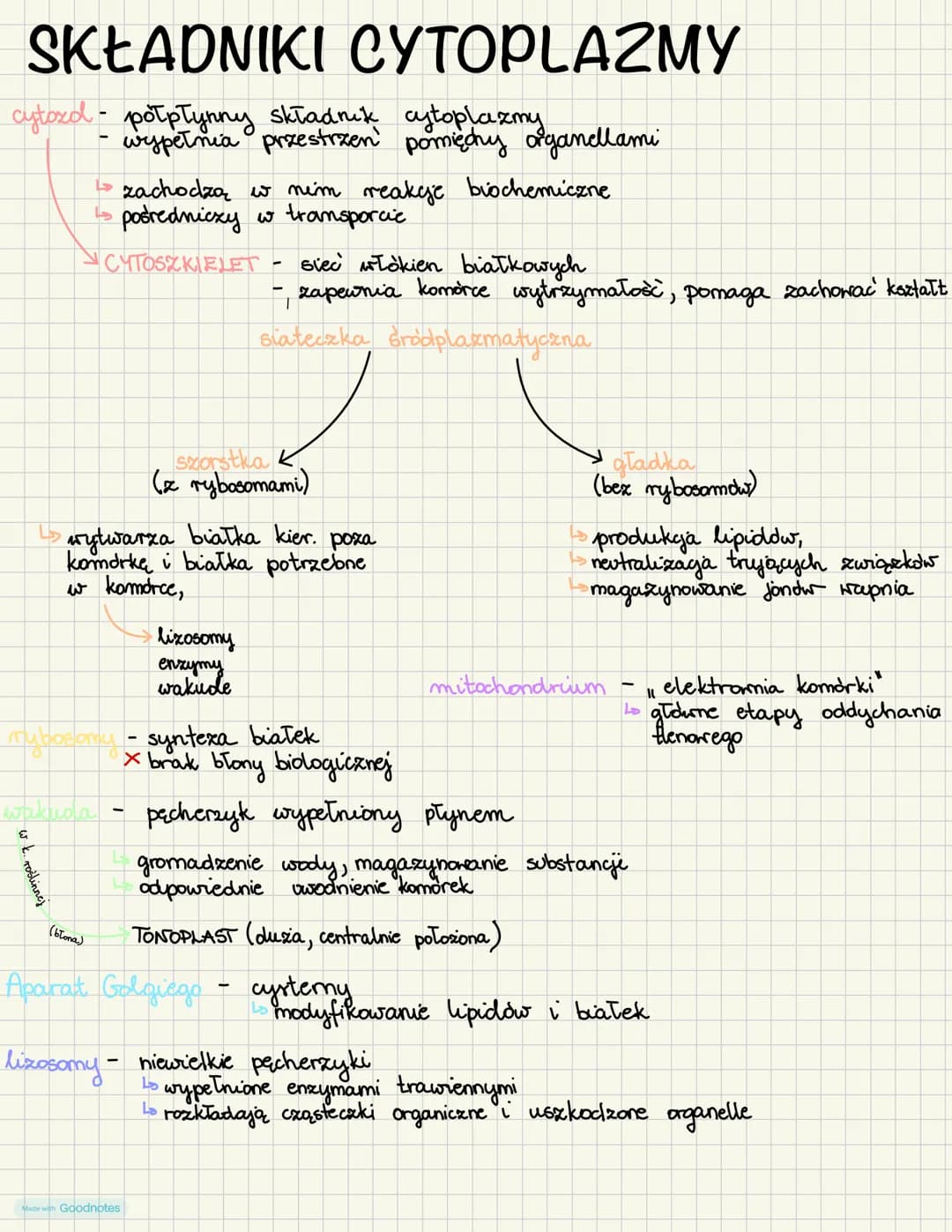 # SKŁADNIKI CYTOPLAZMY
cytozd potpłynny składnik cytoplazmy
- wypełnia przestrzen pomiędny organellami
- zachodzą w nim reakcje biochemiczn