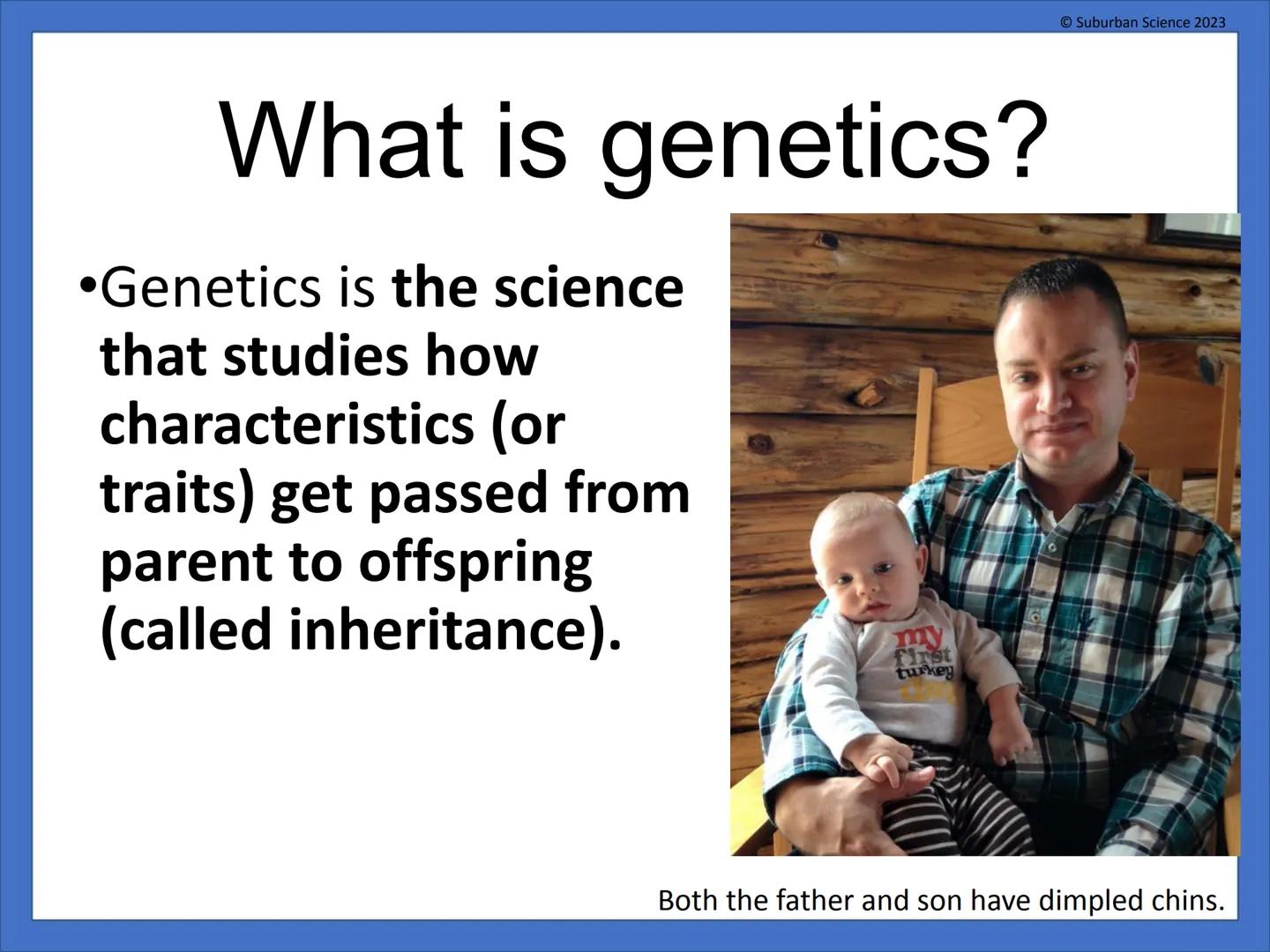 # DNA & Protein
## Synthesis
© Suburban Science
Suburban Science 2023 # What is genetics?
•Genetics is the science
that studies how
charac