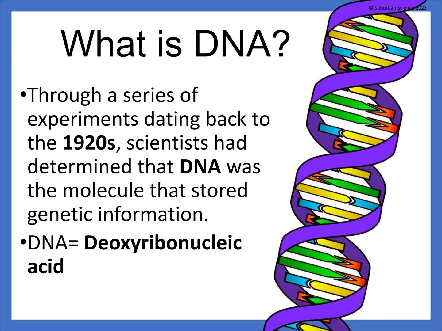 # DNA & Protein
## Synthesis
© Suburban Science
Suburban Science 2023 # What is genetics?
•Genetics is the science
that studies how
charac