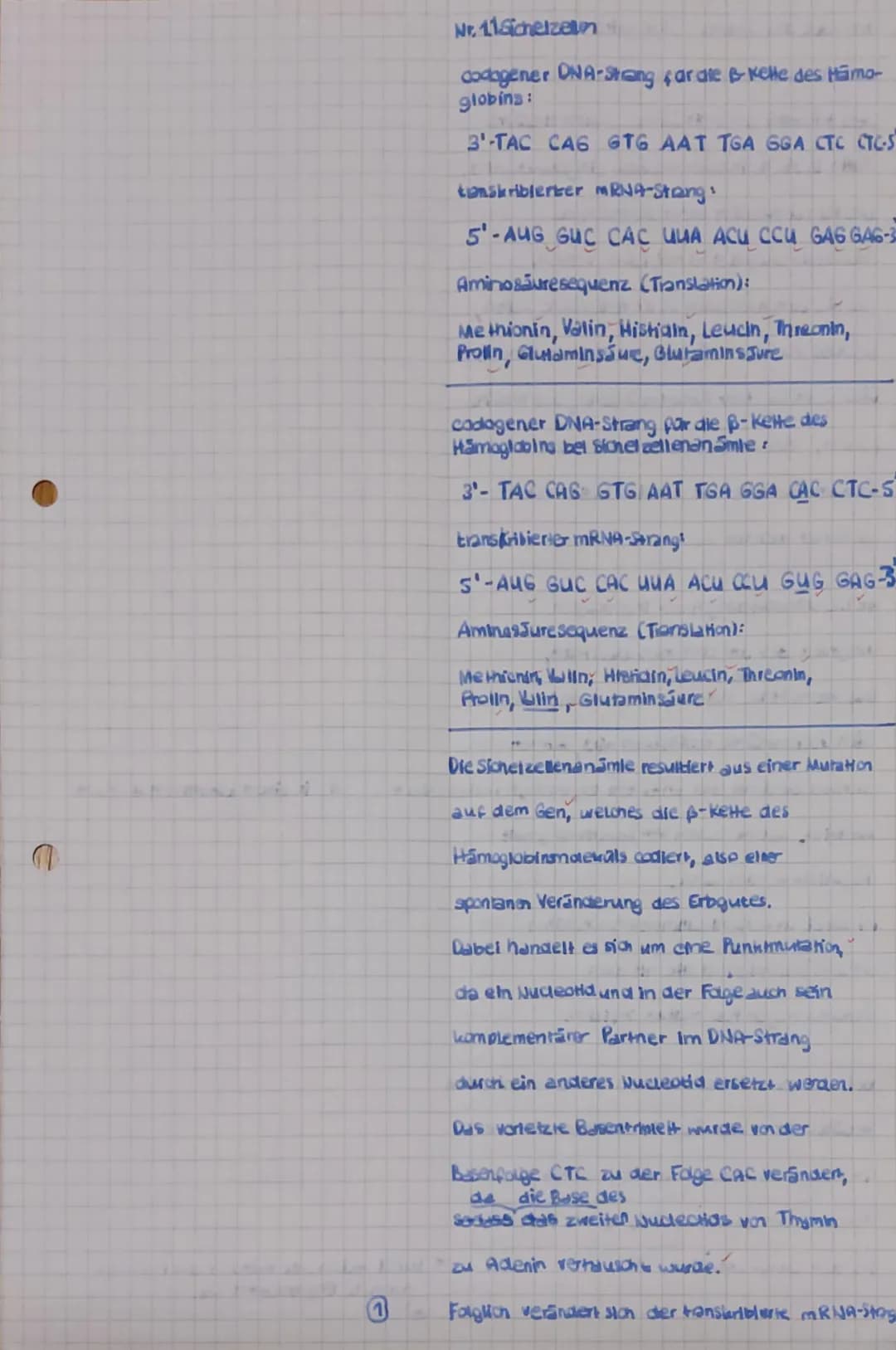 # 1. Klausur Gk-5 QI Biologie
# Bewertungsübersicht und Erwartungshorizor
1.1
* Nennen Sie die Basensequenzen der mRNAs und die Aminosä