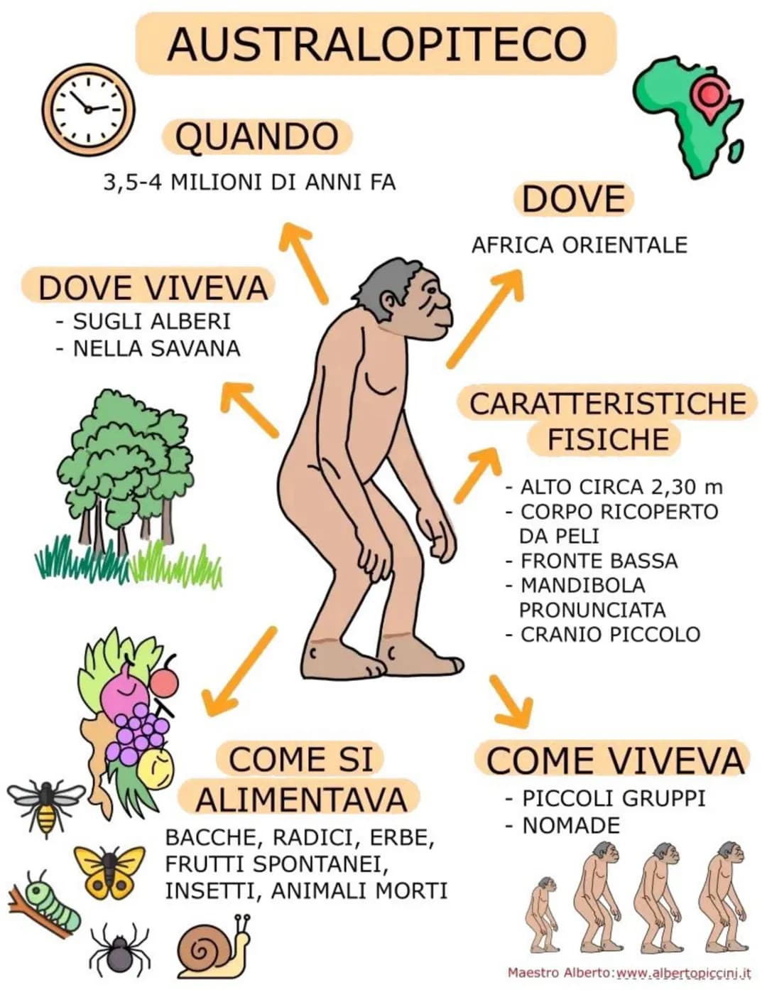 # AUSTRALOPITECO
QUANDO
3,5-4 MILIONI DI ANNI FA
DOVE
AFRICA ORIENTALE
DOVE VIVEVA
- SUGLI ALBERI
- NELLA SAVANA
C
10
CARATTERISTICH