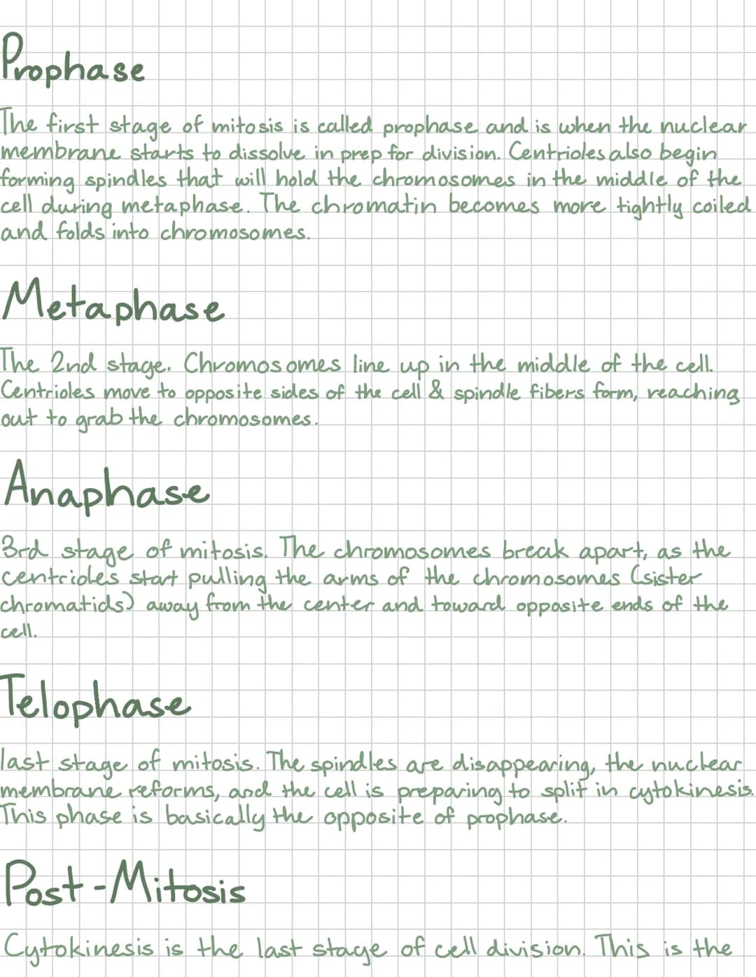 # Mitosis
Mitosis is when the nucleus of the cell divides and has 4 phases-
Prophase Metaphase
Anaphase Telophase
Mitosis occurs in all
