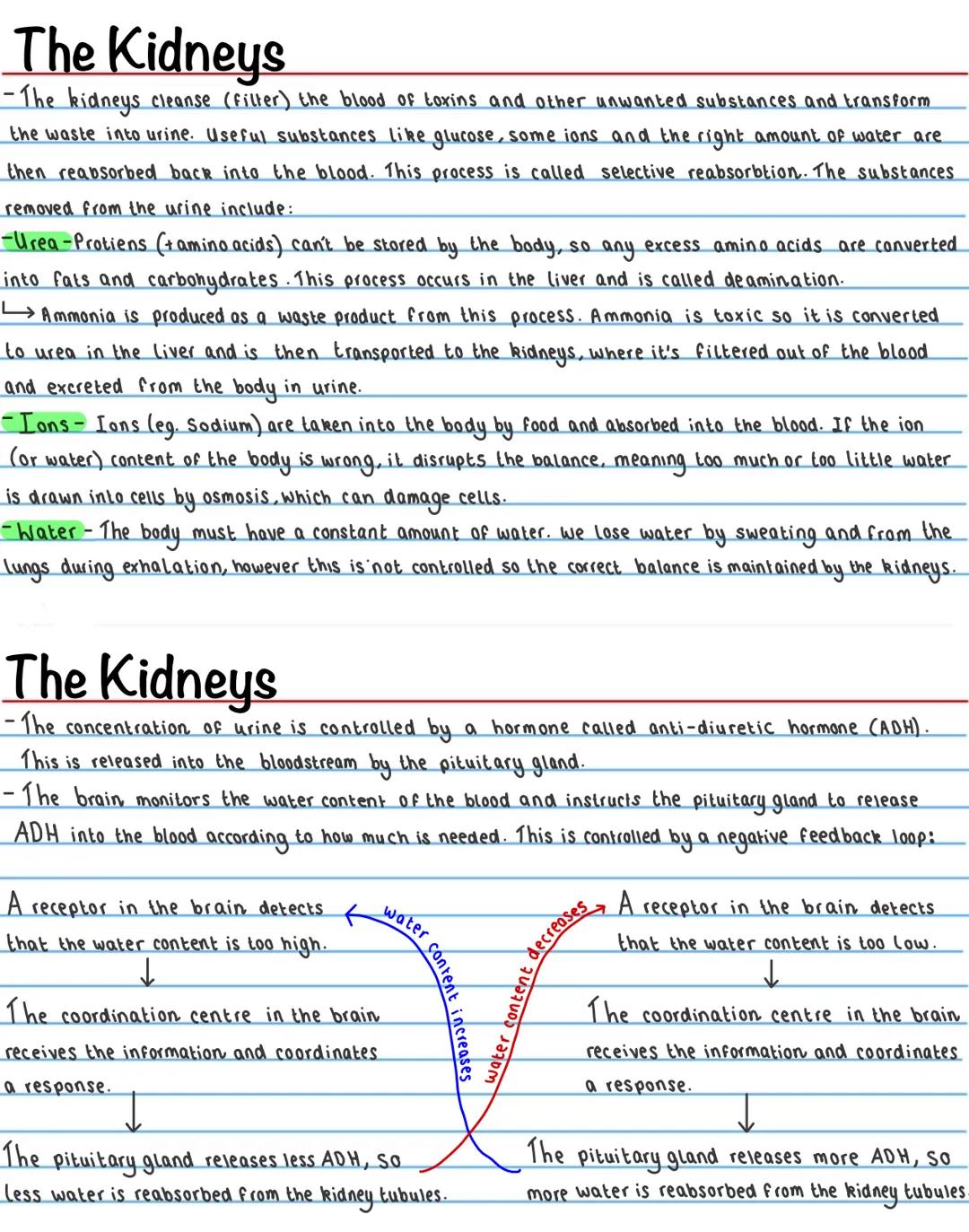 # Homeostasis
Homeostasis is the ability to maintain a constant internal environment in response to internal and external
change.
$\_\righta
