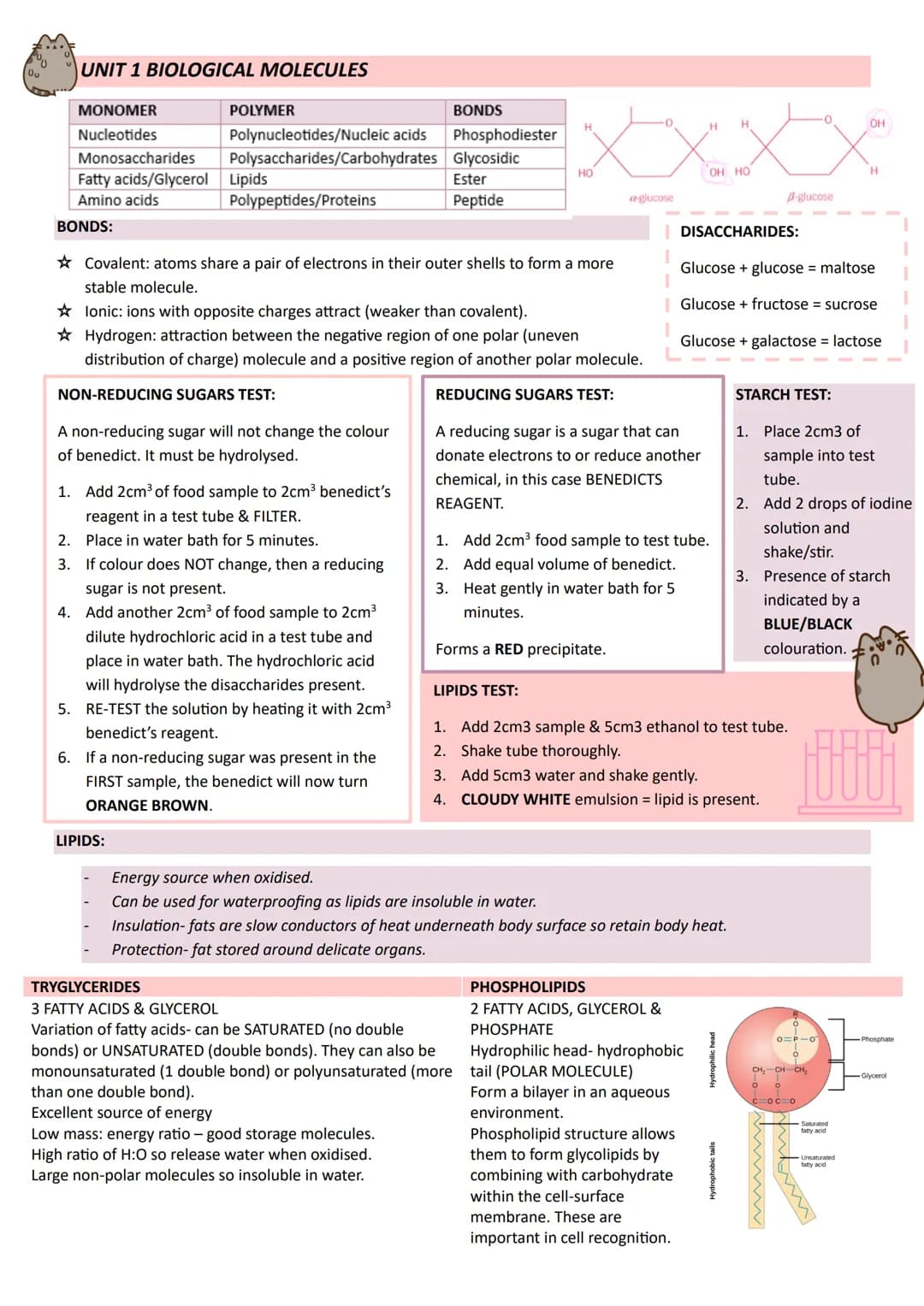 # Year 1
# A-LEVEL
# BIOLOGY
# AQA # UNIT 1 BIOLOGICAL MOLECULES
| MONOMER | POLYMER | BONDS