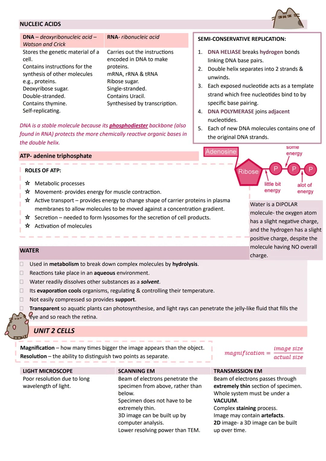 # Year 1
# A-LEVEL
# BIOLOGY
# AQA # UNIT 1 BIOLOGICAL MOLECULES
| MONOMER | POLYMER | BONDS