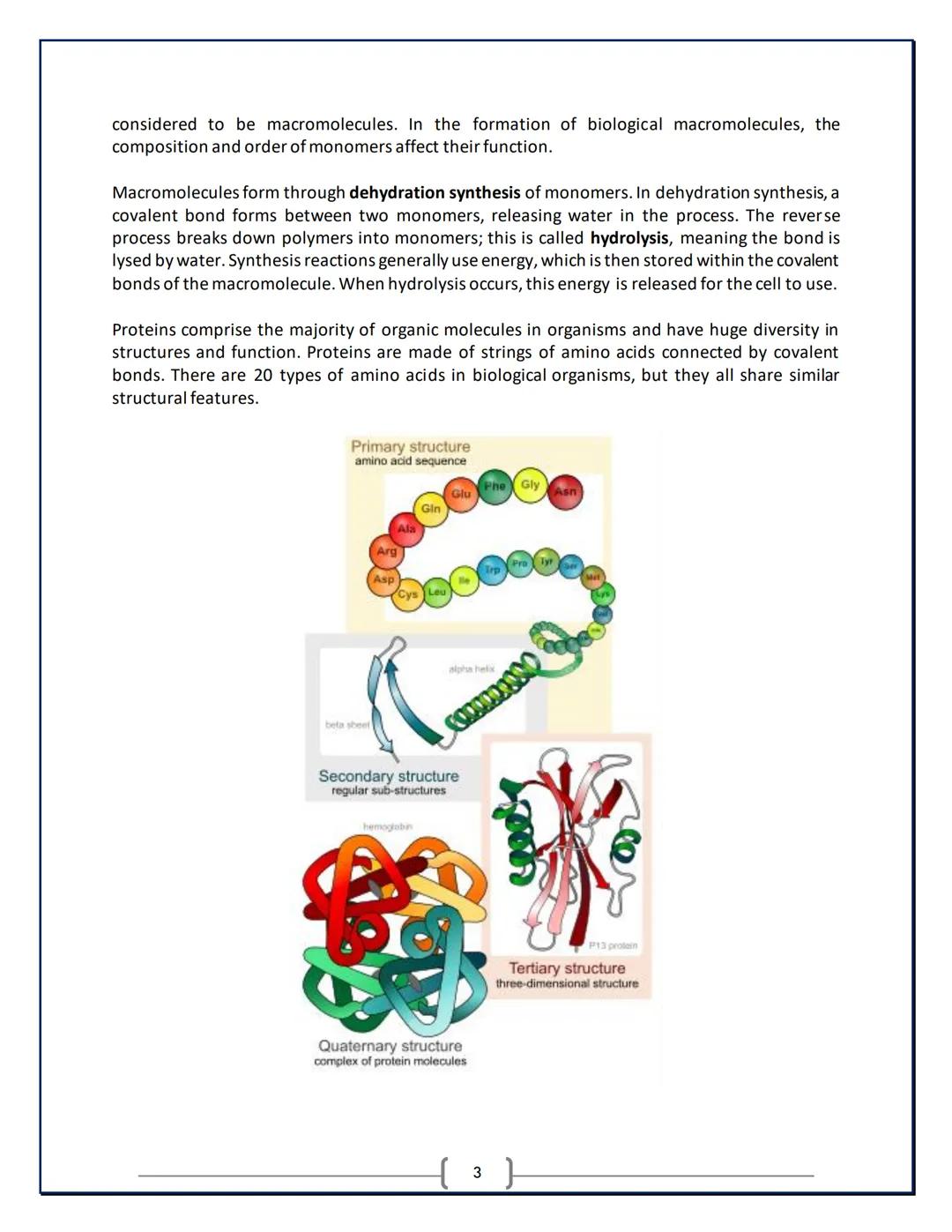 AP Biology:
Study Guide
AP is a registered trademark of the College Board, which was not involved in the production of, and does not endors