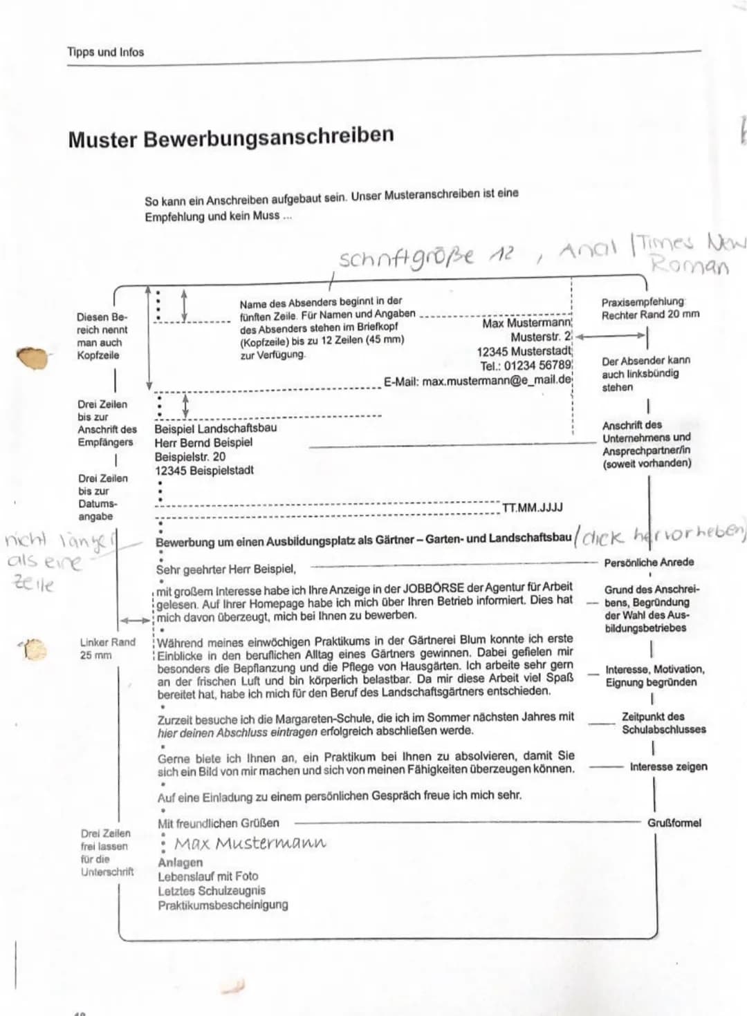Tipps und Infos
Muster Lebenslauf
So kann ein gelungener Lebenslauf aussehen:
Bei keiner
Cifanrung
weglassen
Dokumen
zur Besta
ngung
Le
